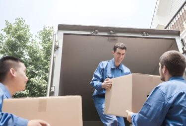 how reliable logistics partners improve business effficiency and delivery timelines - city care logistics